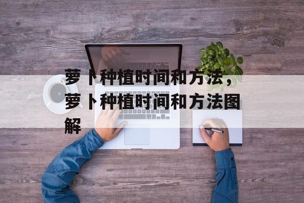 萝卜种植时间和方法，萝卜种植时间和方法图解-第1张图片-