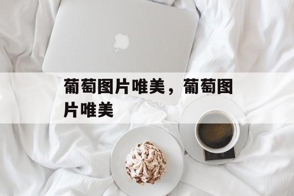 葡萄图片唯美，葡萄图片唯美-第1张图片-