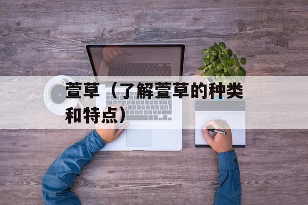 萱草（了解萱草的种类和特点）-第1张图片-