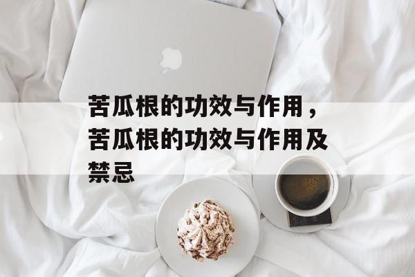 苦瓜根的功效与作用，苦瓜根的功效与作用及禁忌-第1张图片-