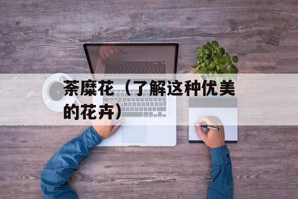 荼糜花（了解这种优美的花卉）-第1张图片-