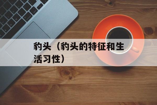 豹头（豹头的特征和生活习性）-第1张图片-