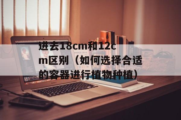 进去18cm和12cm区别（如何选择合适的容器进行植物种植）-第1张图片-