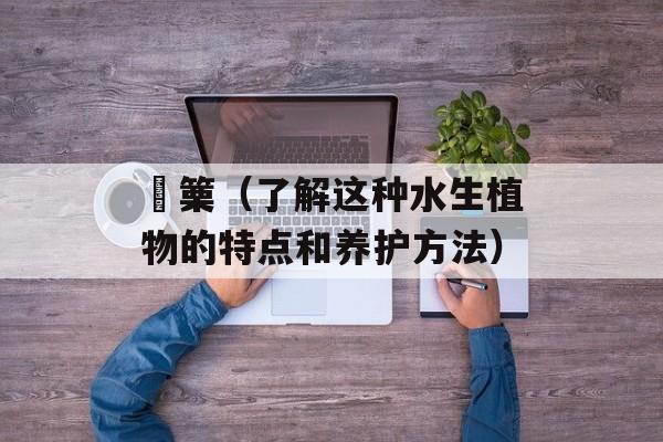 觱篥（了解这种水生植物的特点和养护方法）-第1张图片-