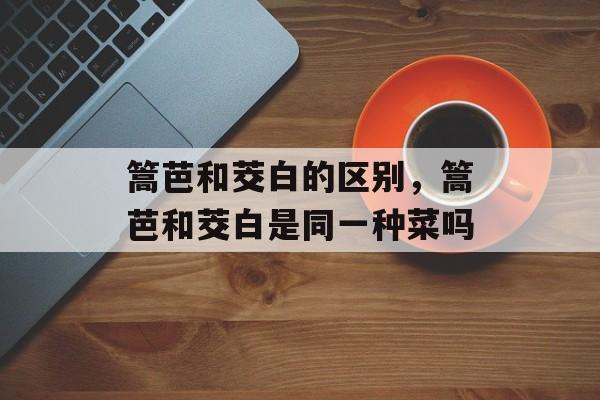篙芭和茭白的区别，篙芭和茭白是同一种菜吗-第1张图片-