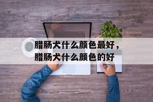 腊肠犬什么颜色最好，腊肠犬什么颜色的好-第1张图片-