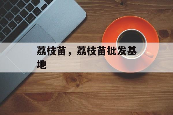 荔枝苗，荔枝苗批发基地-第1张图片-