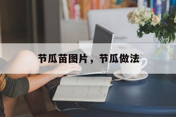 节瓜苗图片，节瓜做法-第1张图片-