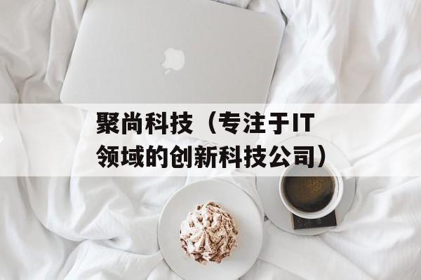 聚尚科技（专注于IT领域的创新科技公司）-第1张图片-