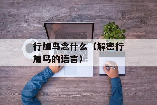 行加鸟念什么（解密行加鸟的语言）-第1张图片-