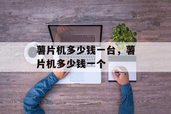 薯片机多少钱一台，薯片机多少钱一个-第1张图片-