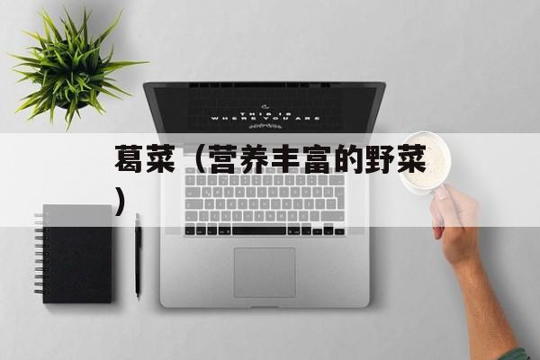 葛菜（营养丰富的野菜）-第1张图片-