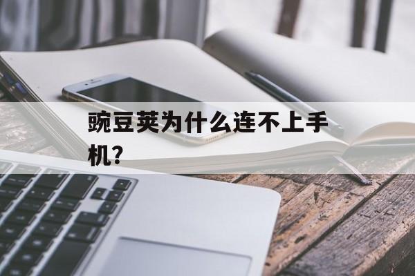 豌豆荚为什么连不上手机？-第1张图片-